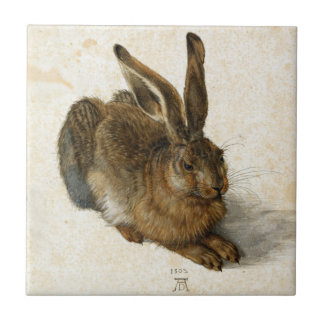 Hase, Kaninchen von Durer Vintage-Naturkunst aus d Fliese