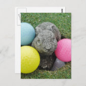 Hase mit rosa blaugelbem Ei Postkarte (Vorne/Hinten)
