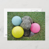 Hase mit rosa blaugelbem Ei Postkarte (Vorne/Hinten)