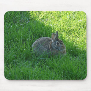 Hase Mousepad