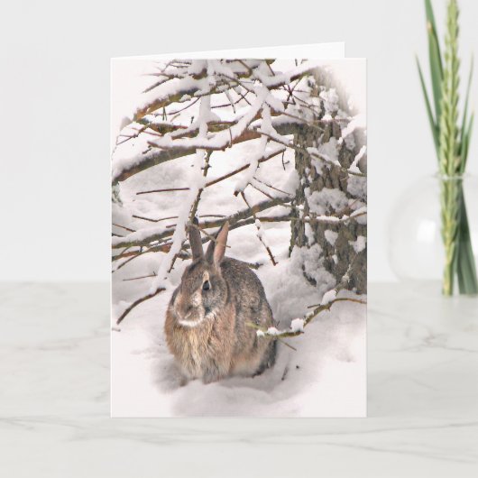 Hase sucht Zuflucht Karte (Vorderseite)