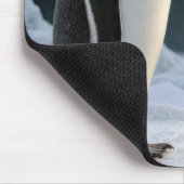 Hase und Pinguin mit Neonstern Mousepad (Ecke)