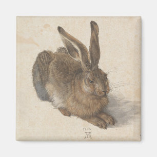 Hase (von Albrecht Dürer) Magnet
