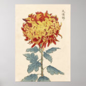Hasegawa Chrysanthemum Holzblock Print # 121 Poster (Vorne)