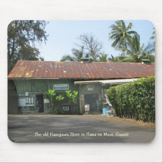 Hasegawa-Speicher Mousepad