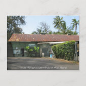 Hasegawa Store Postkarte (Vorderseite)