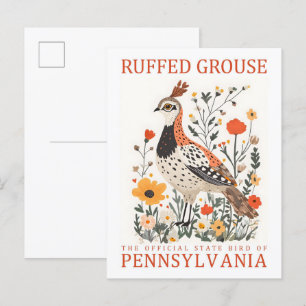 Haselhuhn Vogel von Pennsylvania Reise Postkarte