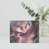 Haselmaus - Postkarte (Stehend Vorderseite)