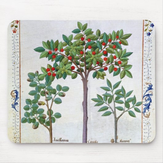 Haselnuss Bush und Kirschbaum Mousepad (Vorne)