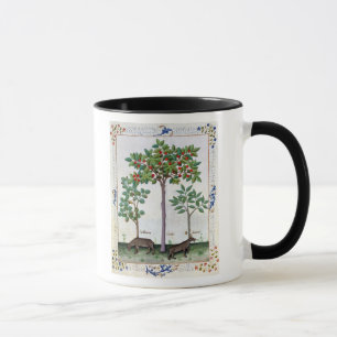 Haselnuss Bush und Kirschbaum Tasse