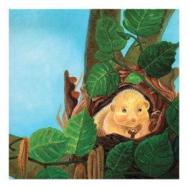 Haselnuss-Dormaus Fotodruck