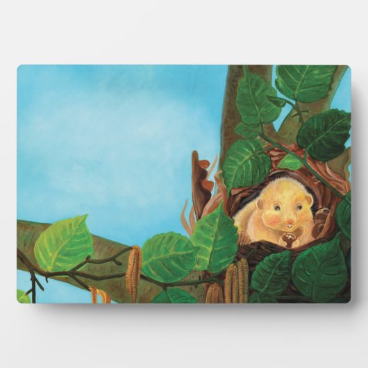 Haselnuss-Dormaus Fotoplatte (Vorderseite)