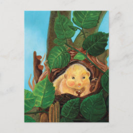 Haselnuss-Dormaus Postkarte