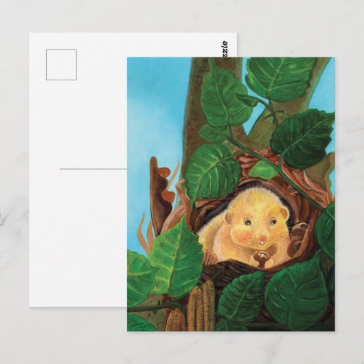 Haselnuss-Dormaus Postkarte (Vorne/Hinten)