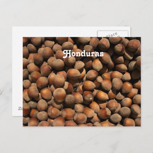 Haselnüsse Postkarte (Vorne/Hinten)