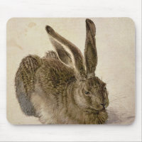 Hasen, 1502