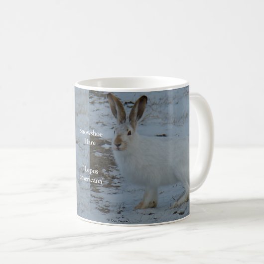 Hasen des Snowshoe-R23 Kaffeetasse (VorderseiteRechts)