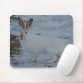 Hasen des Snowshoe-R23 Mousepad (Mit Mouse)