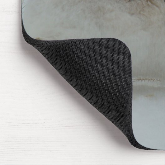 Hasen des Snowshoe-R7 bereit zu laufen Mousepad (Ecke)