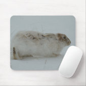 Hasen des Snowshoe-R7 bereit zu laufen Mousepad (Mit Mouse)