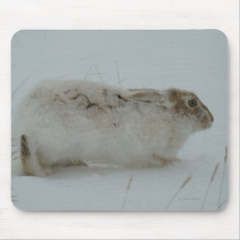 Hasen des Snowshoe-R7 bereit zu laufen Mousepad