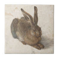Hasen durch Albrecht Durer