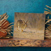 Hasen Fotoplatte (Seite)