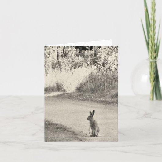 Hasen heute karte (Vorderseite)