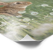 Hasen im Raum der Löwenfeldchen Fotodruck (Ecke)