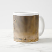Hasen Jumbo-Tasse (Vorderseite Rechts)
