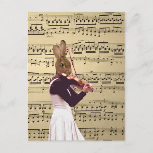 Hasen-Kaninchen-Geiger Postkarte