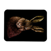 Hasen, Kaninchen, zeichnend Magnet (Horizontal)
