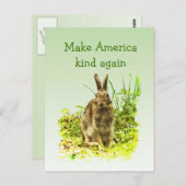 Hasen machen Amerika wieder zur Postkarte (Vorne/Hinten)
