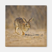 Hasen Magnet (Vorne)