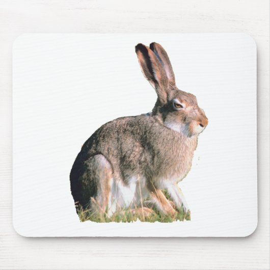 Hasen Mousepad (Vorne)
