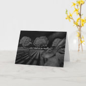 Hasen nachts karte (Gelbe Blume)