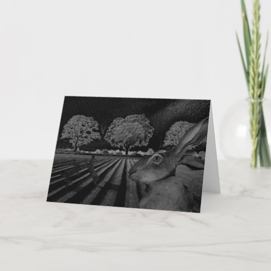 Hasen nachts karte (Vorderseite)