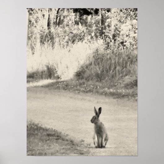 Hasen Poster (Vorne)
