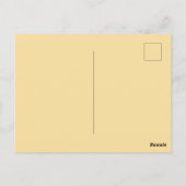 Hasen Ringelblume Postkarte (Rückseite)