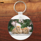 Hasen Schlüsselanhänger (Vorderseite)