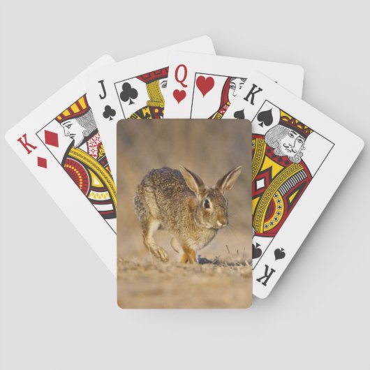 Hasen Spielkarten (Rückseite)