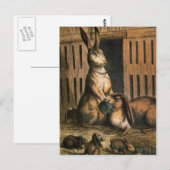 Hasen und Säuglinge essen Postkarte (Vorne/Hinten)