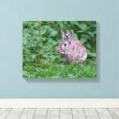 Hasen-Wild-Foto Leinwanddruck (Insitu (Holzboden))