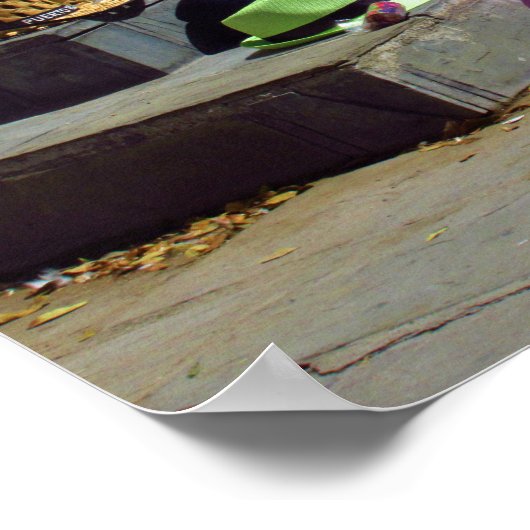 Hasen zum Verkauf auf Straßenplakat Poster (Ecke)