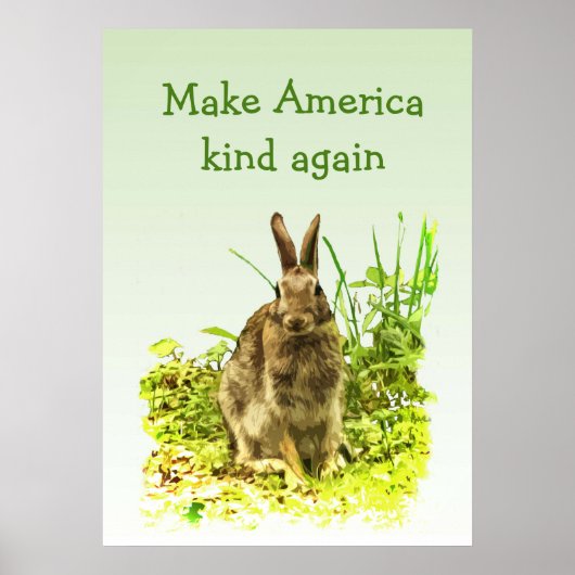 Hasenbär macht Amerika wieder zum Poster (Vorne)