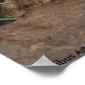 Hasenflüster Poster (Ecke)