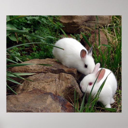 Hasenflüster Poster (Vorne)