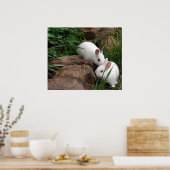 Hasenflüster Poster (Küche)