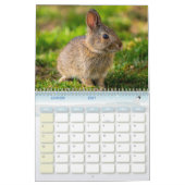 Hasenkalender, Calendar Rabbit Hares Kalender (Jan 2027)