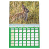 Hasenkalender, Calendar Rabbit Hares Kalender (Mär 2027)